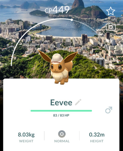Explorer eevee rio de - eevee,